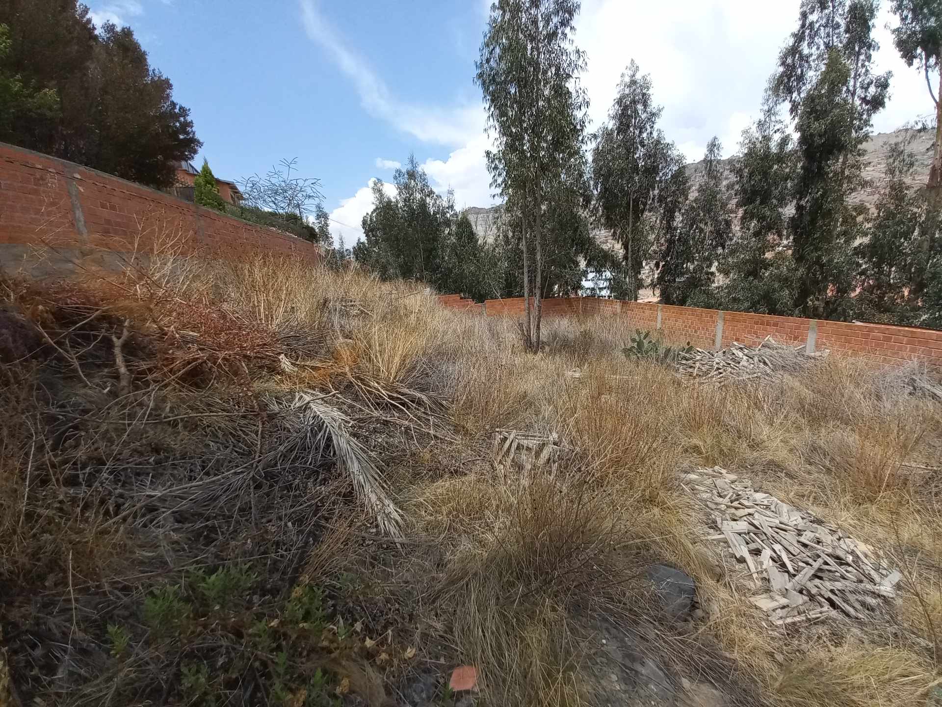 Terreno en VentaEL VERGEL INGRESANDO A IRPAVI 2, TENEMOS ESTE AMPLIO TERRENO EN VENTA Foto 3