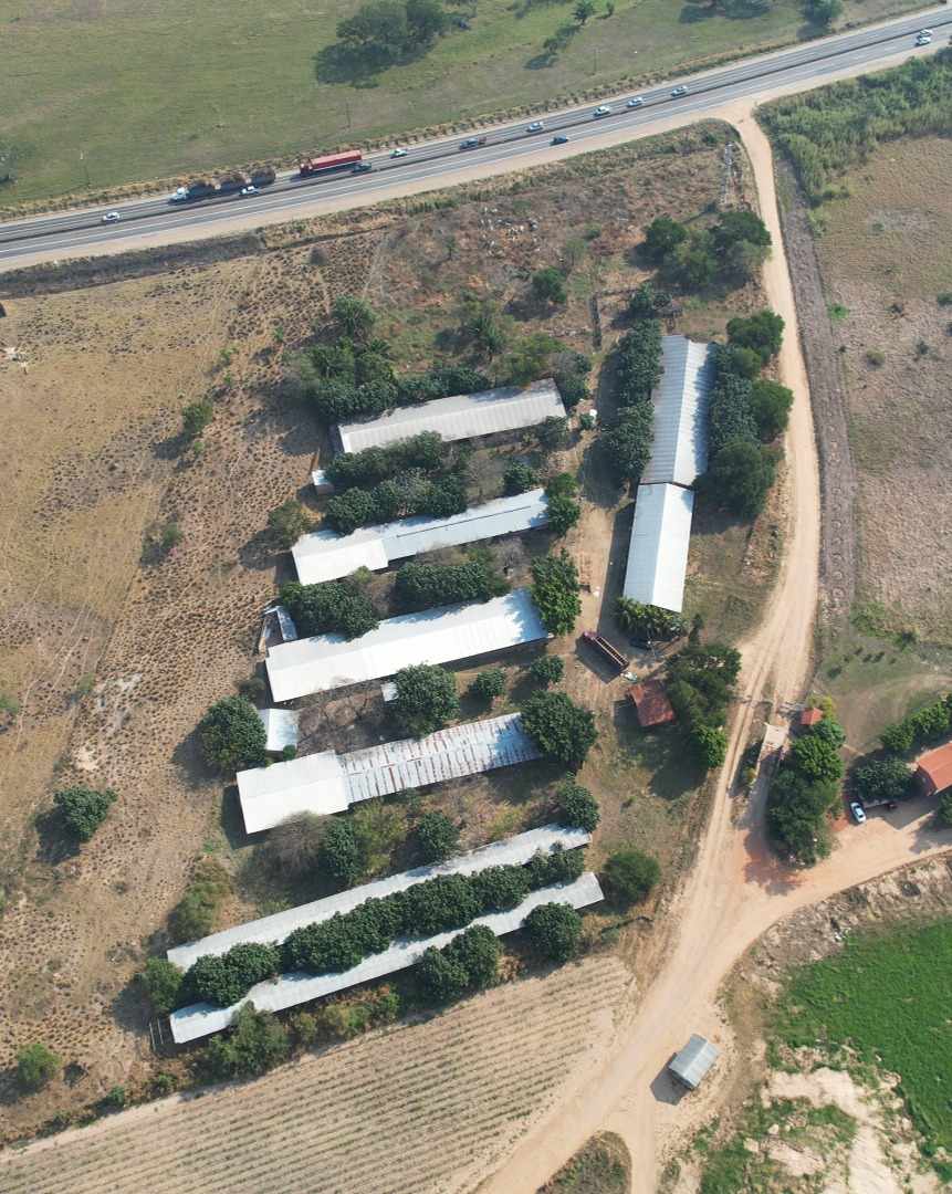 Terreno en VentaSobre Carretera entre Warnes y Montero Foto 18