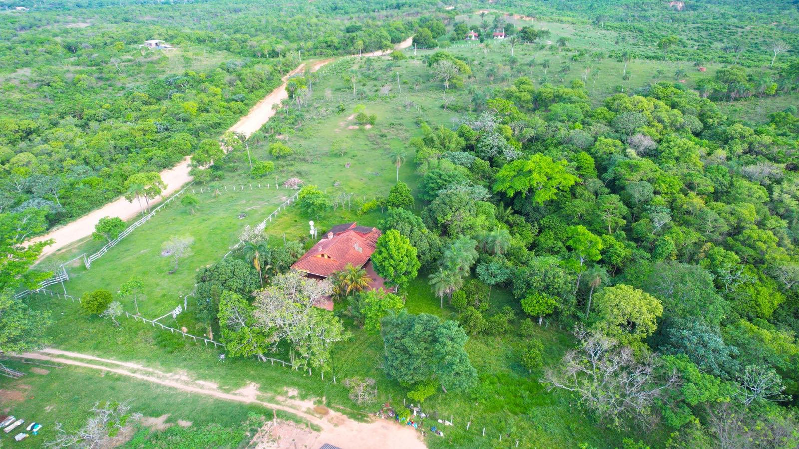 Quinta propiedad agrícola en Urubó en Santa Cruz de la Sierra    Foto 12