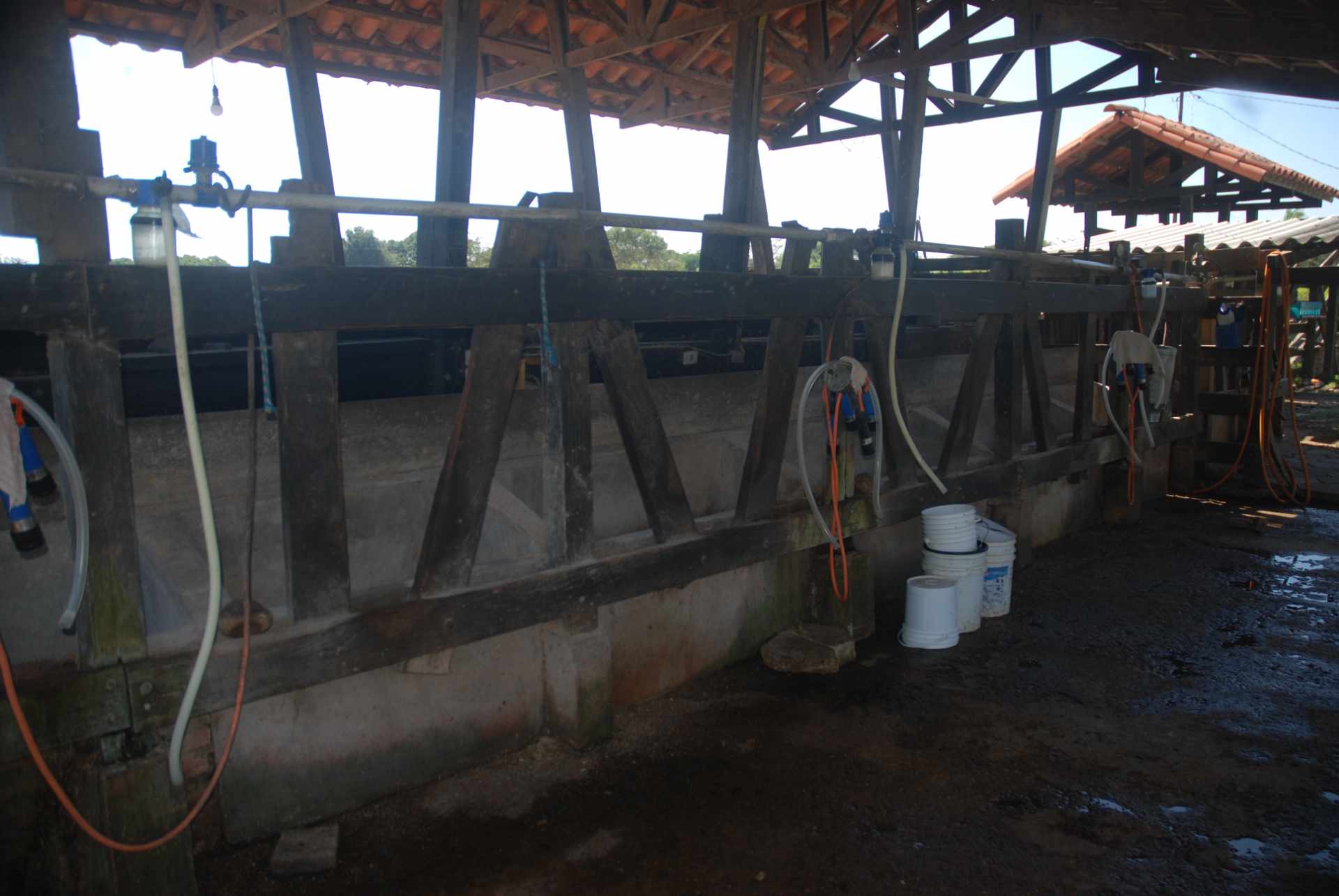 Quinta propiedad agrícola en Venta A 20mn de Warnes  vendo una Hermosa  Lecheria productiva  de 56ha  Foto 40