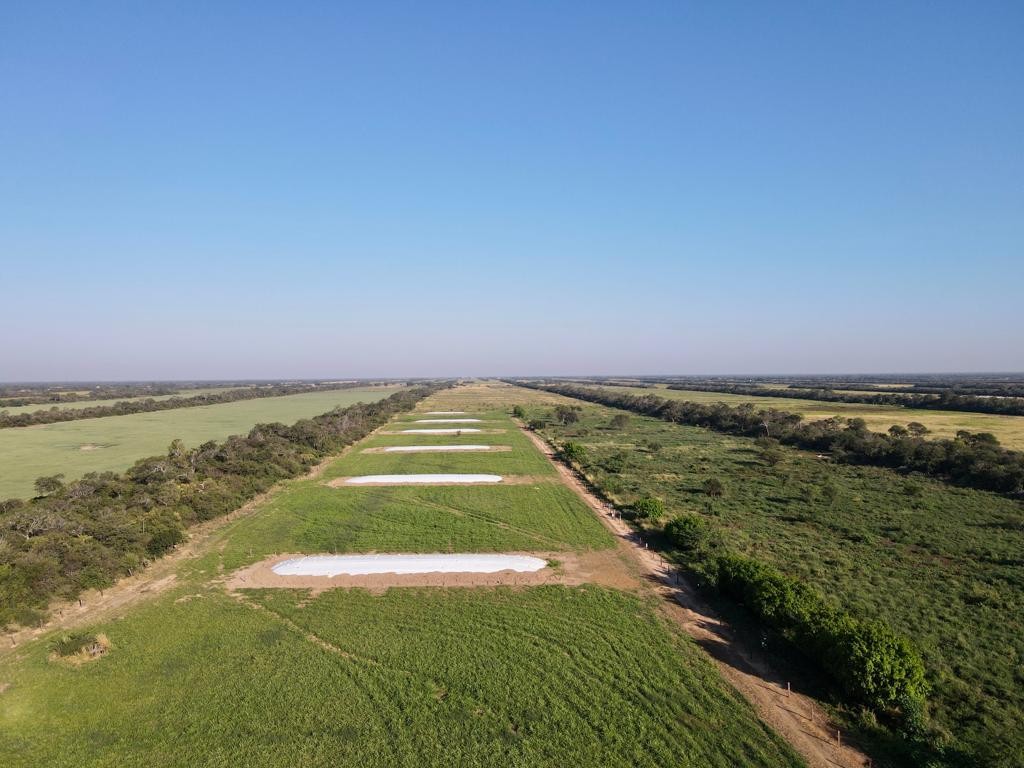 Quinta propiedad agrícola en VentaEn Venta: 2.300 Hectáreas Agrícola - Ganadera en Tres Cruces Foto 5