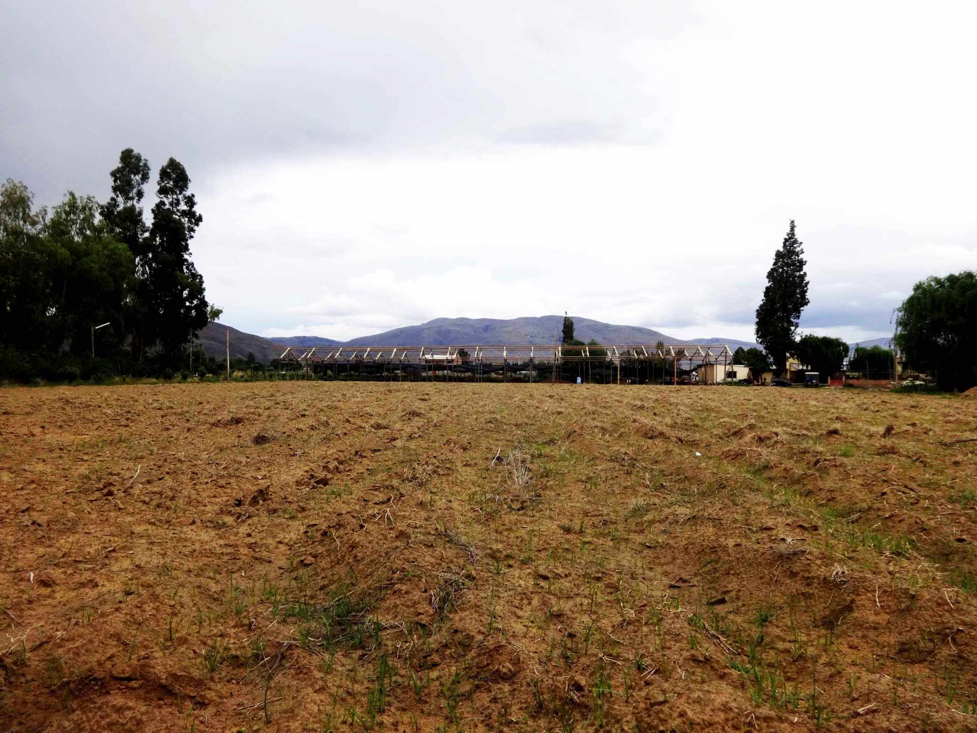 Terreno en Punata en Cochabamba    Foto 15