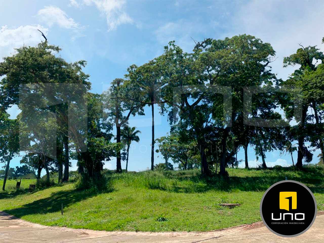 Terreno en VentaCONDOMINIO COLINAS SECTOR LAS PALMERAS VENDO TERRENO Foto 4