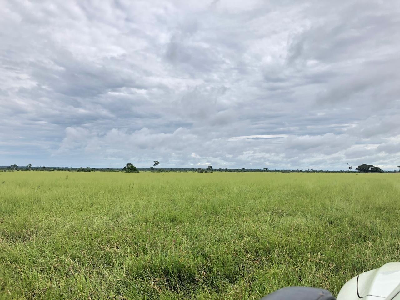 Quinta propiedad agrícola en VentaEn Venta: 13.720 Ganaderas con potencial Agrícola en SIV Foto 8