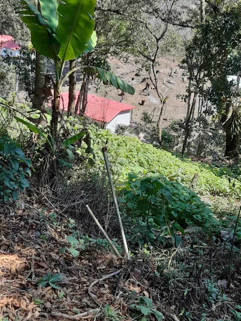 Terreno Coroico Foto 9