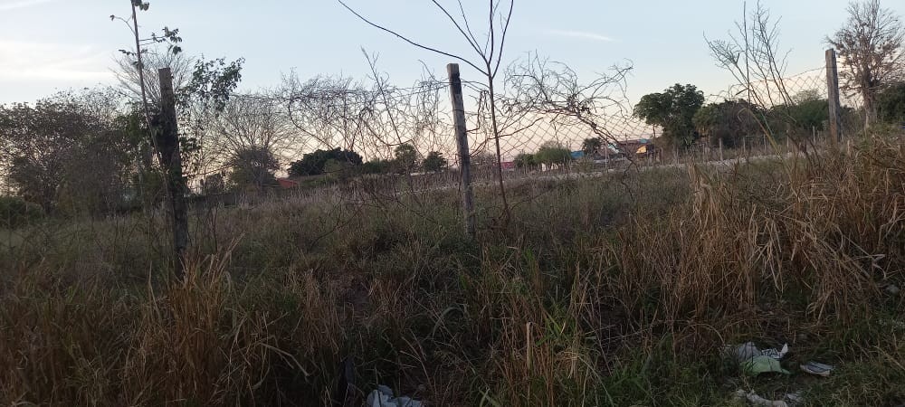 Terreno en VentaLocalidad: Puerto Suárez - Barrio: 3 de Mayo
Puerto Suárez - Bolivia. Foto 7