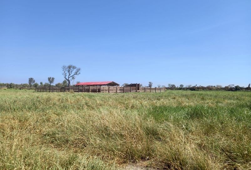 Quinta propiedad agrícola en Zona Nueva Santa Cruz en Santa Cruz de la Sierra    Foto 5