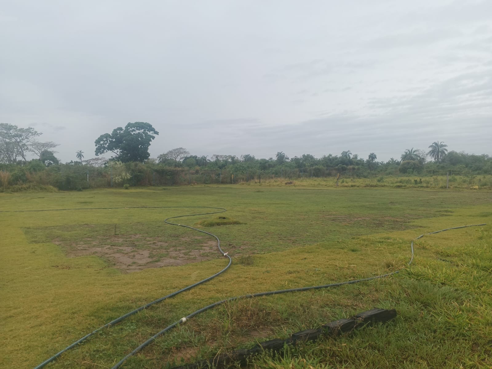 Terreno en Zona Nueva Santa Cruz en Santa Cruz de la Sierra    Foto 9