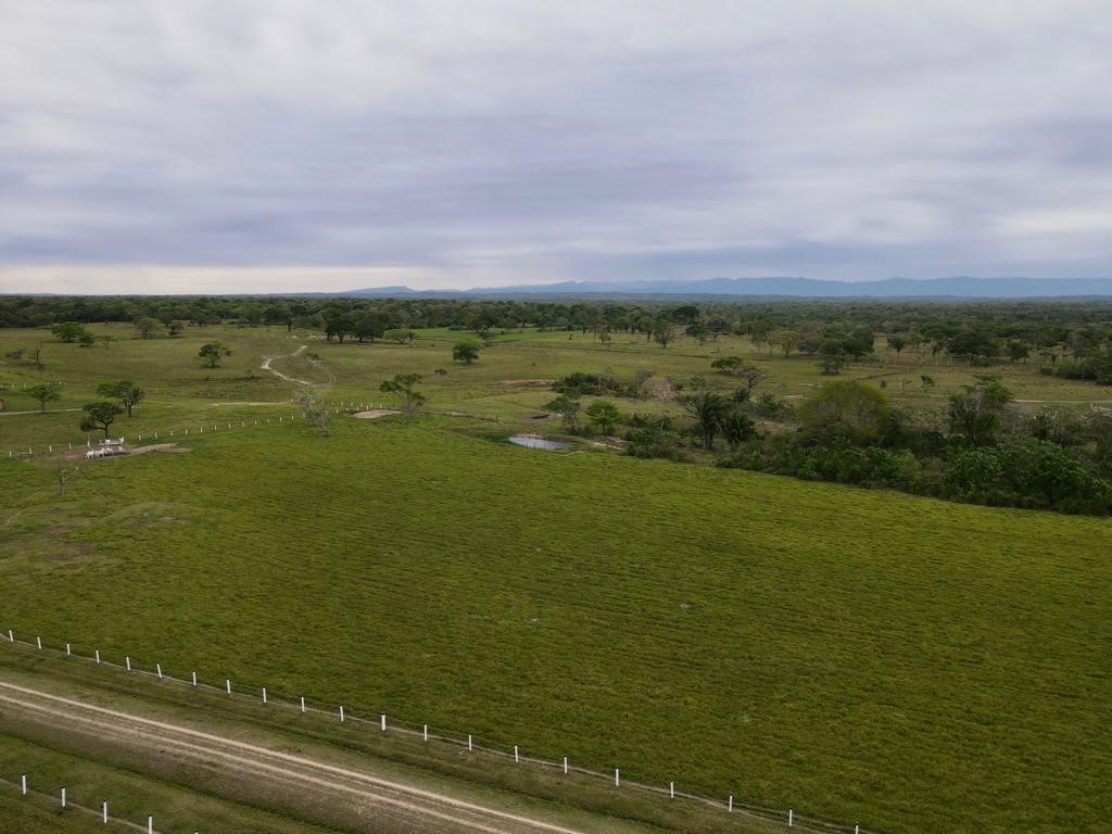 Quinta propiedad agrícola en VentaEn Venta 850 Hectáreas Ganaderas y con Potencial para Urbanizar en Portachuelo    Foto 8