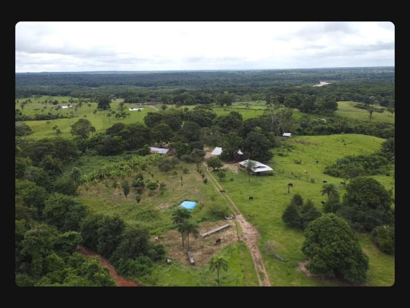 Quinta propiedad agrícola en VentaZona terebinto Foto 11