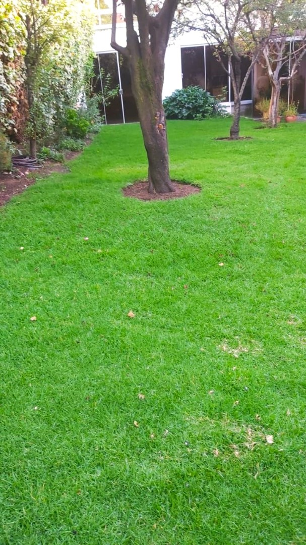 Casa en AlquilerCALACOTO -  EXCELENTE UBICACION 4 dormitorios 4 baños 5 parqueos Foto 3