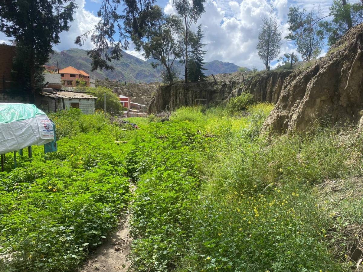 Terreno en Mallasilla en La Paz    Foto 4