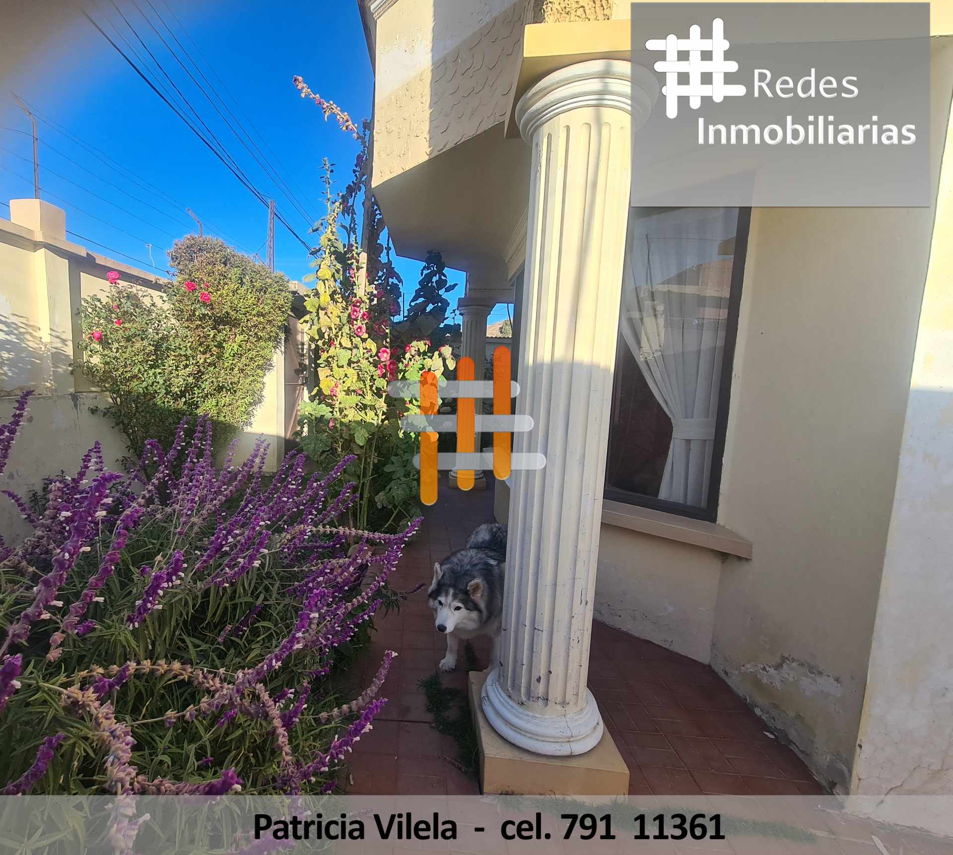 Casa en VentaCASA EN VENTA EN WILACOTA ALTURA CALLE 60 DE CHASQUIPAMPA 5 dormitorios 4 baños 2 parqueos Foto 18