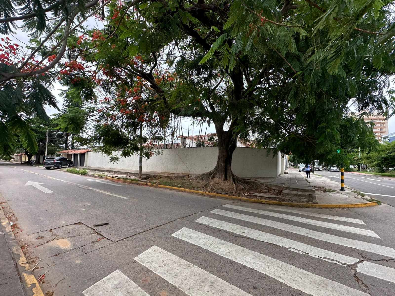 Casa en Entre 2do y 3er anillo Norte en Santa Cruz de la Sierra 4 dormitorios 4 baños 3 parqueos Foto 5