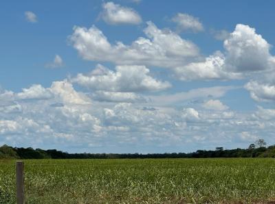 8a7891371571972679873a9b8e679bff136ca2