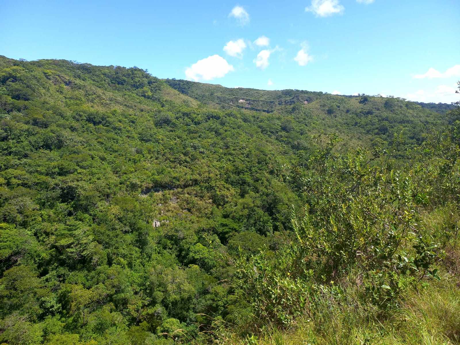 Quinta propiedad agrícola en Doble vía La Guardia en Santa Cruz de la Sierra    Foto 17