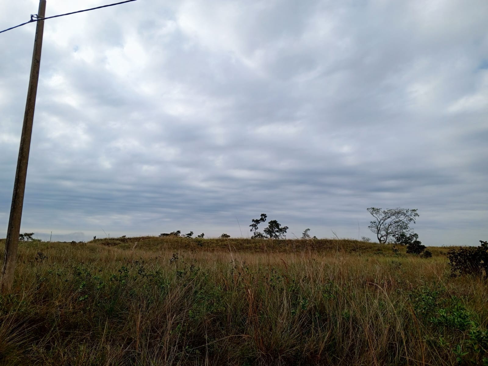 Terreno en VentaUrbanización ciudad del Urubo Foto 3