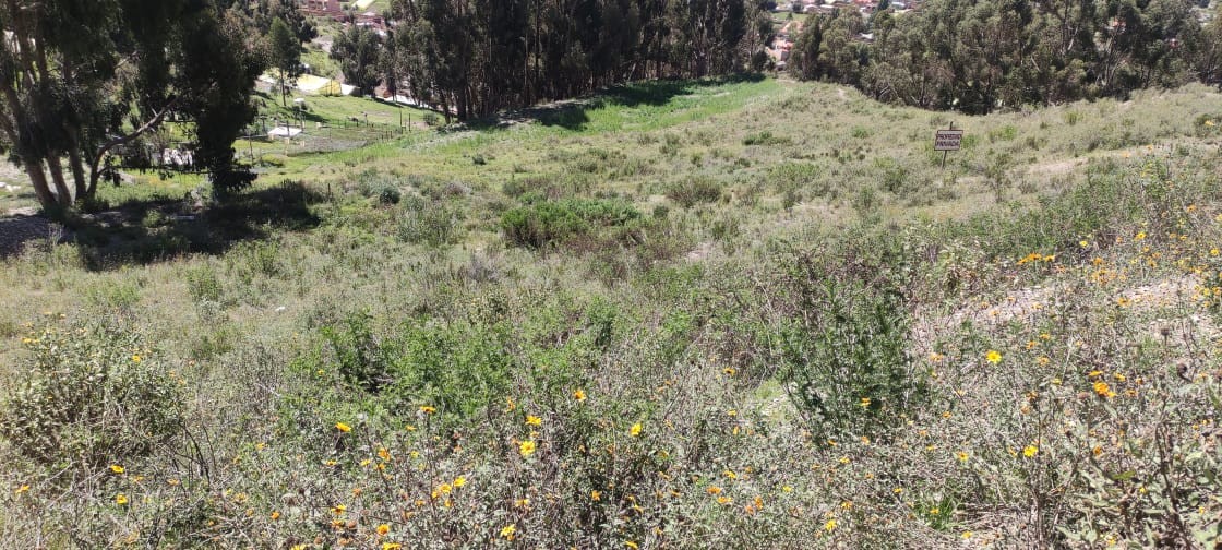 Terreno en VentaAchocalla, colindante con Senkata El Alto    Foto 3