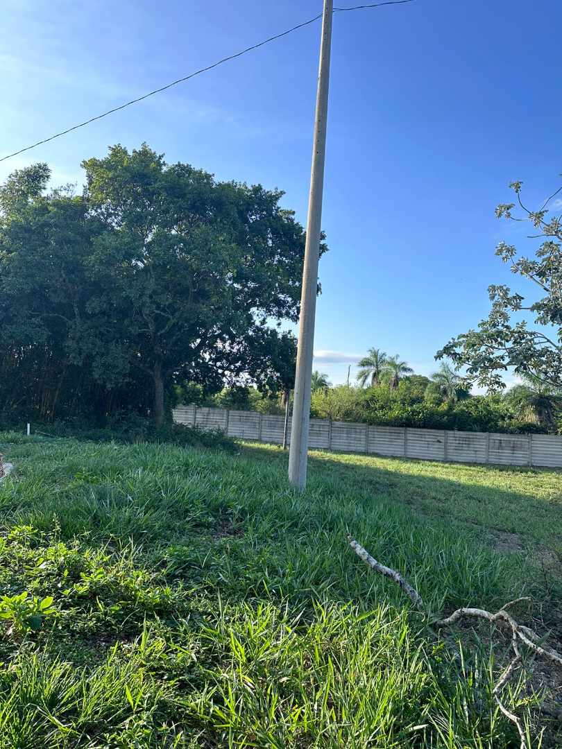 Terreno en VentaTerreno en Venta, Zona Urubo a 10 minutos del puente     Foto 5