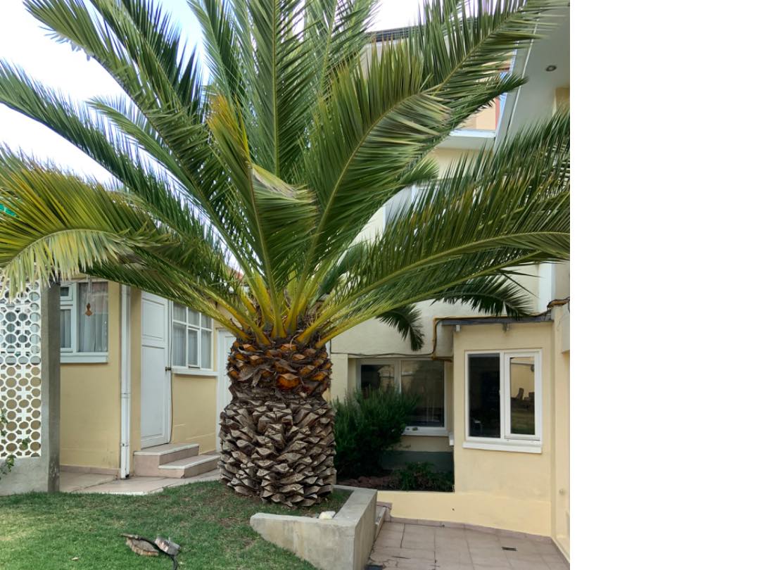 Casa en VentaAchumani cerca al Mercado de Achumani  Foto 2