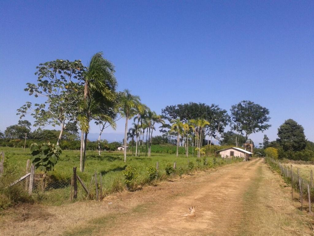 Quinta propiedad agrícola en VentaCerca de Puerto Gretel,  zona Yapacani, camino a estacion Vibora.    Foto 2