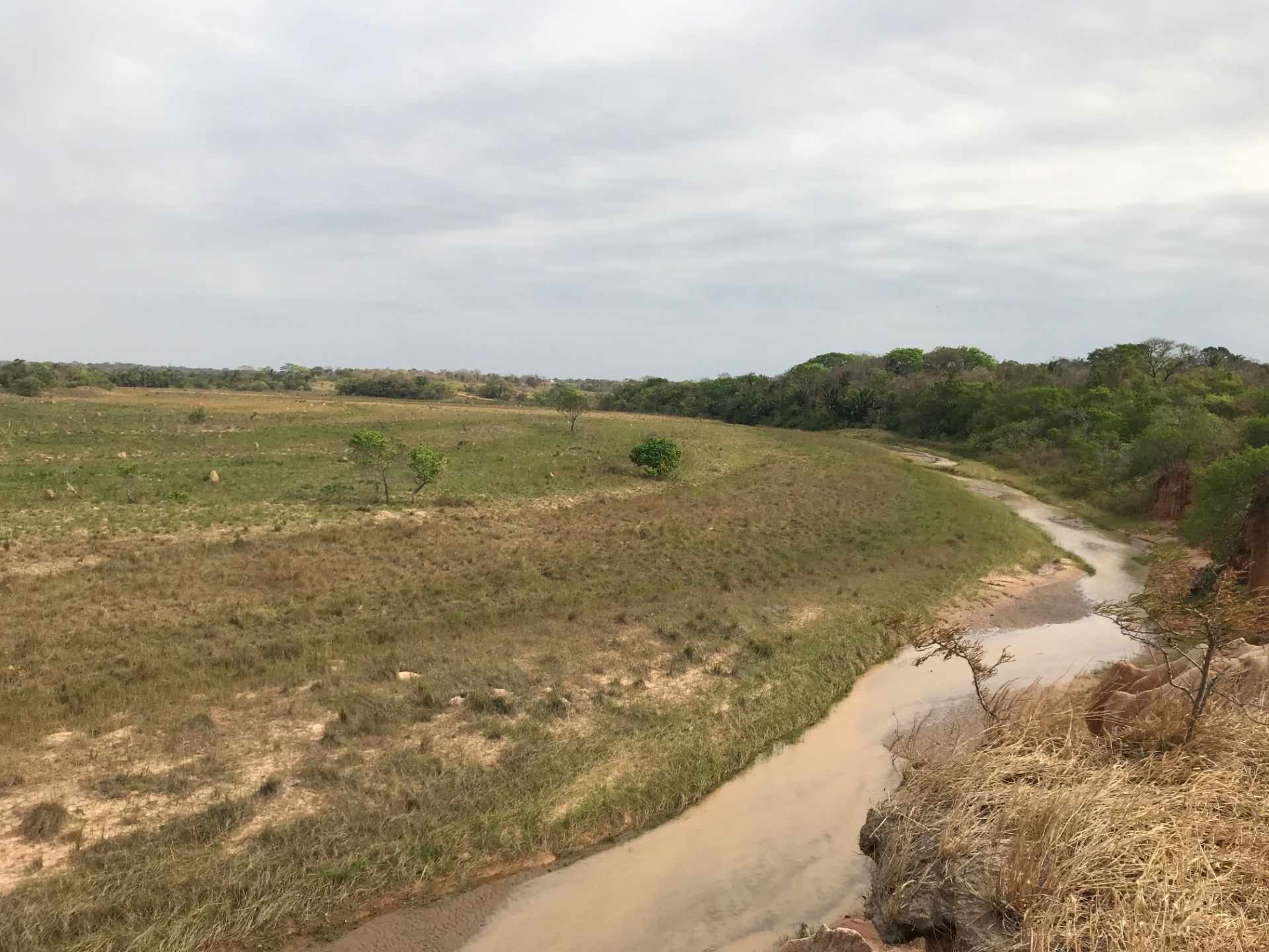 Terreno en VentaUrubó zona Norbélgica atrás de Puerto Santa Cruz.  Foto 19
