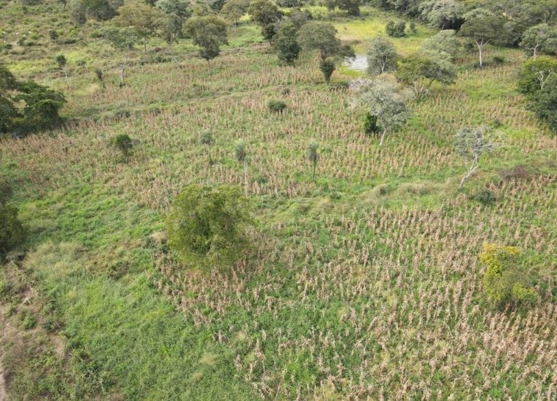 Quinta propiedad agrícola en Zona Nueva Santa Cruz en Santa Cruz de la Sierra    Foto 8