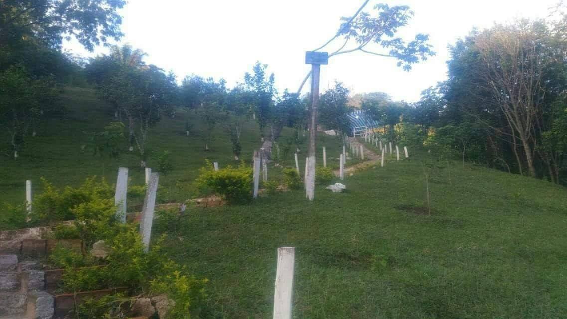 Quinta propiedad agrícola en Doble vía La Guardia en Santa Cruz de la Sierra    Foto 3