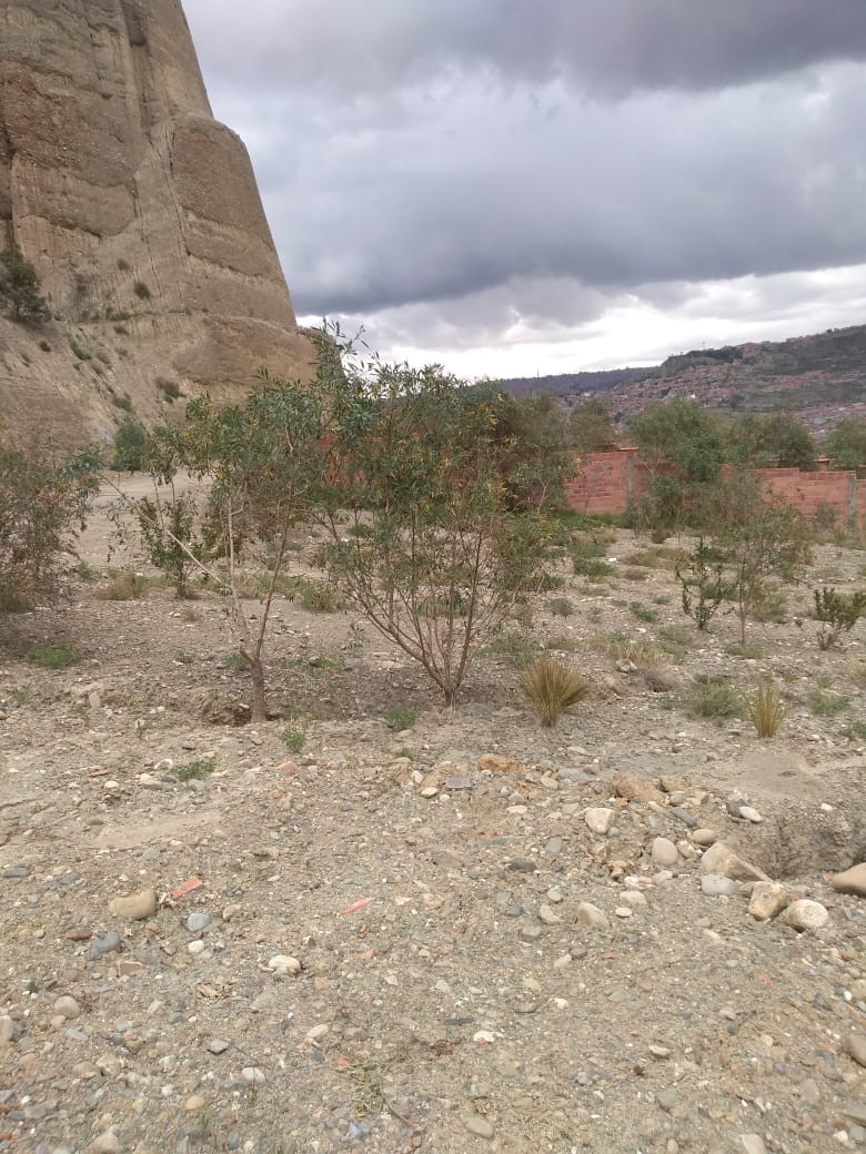 En Venta a $us 42,000 Foto 11