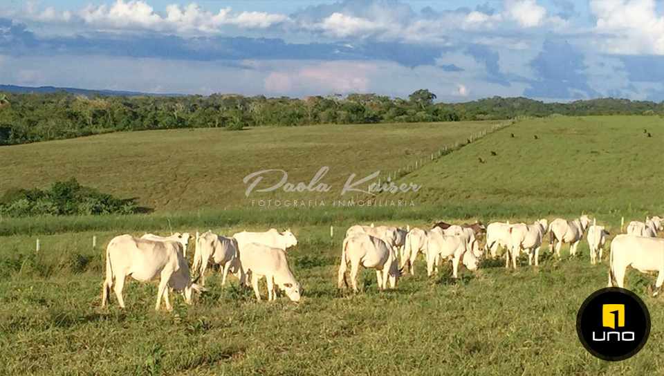 En Venta a $us 1,800 Foto 15