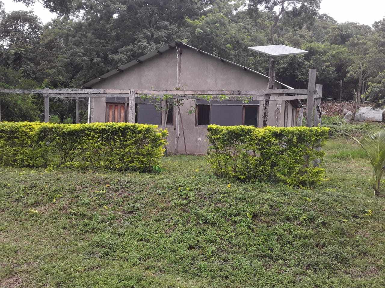 Quinta propiedad agrícola en VentaSan Ramon, Prov. Ñinflo de Chavez, Santa Cruz Foto 1