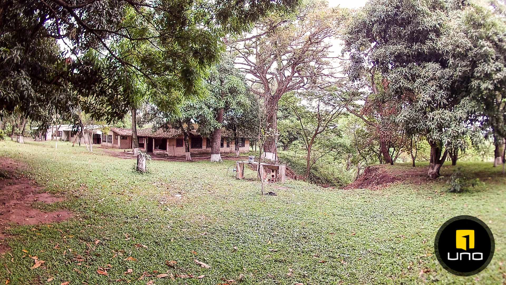 Quinta propiedad agrícola en Doble vía La Guardia en Santa Cruz de la Sierra    Foto 10