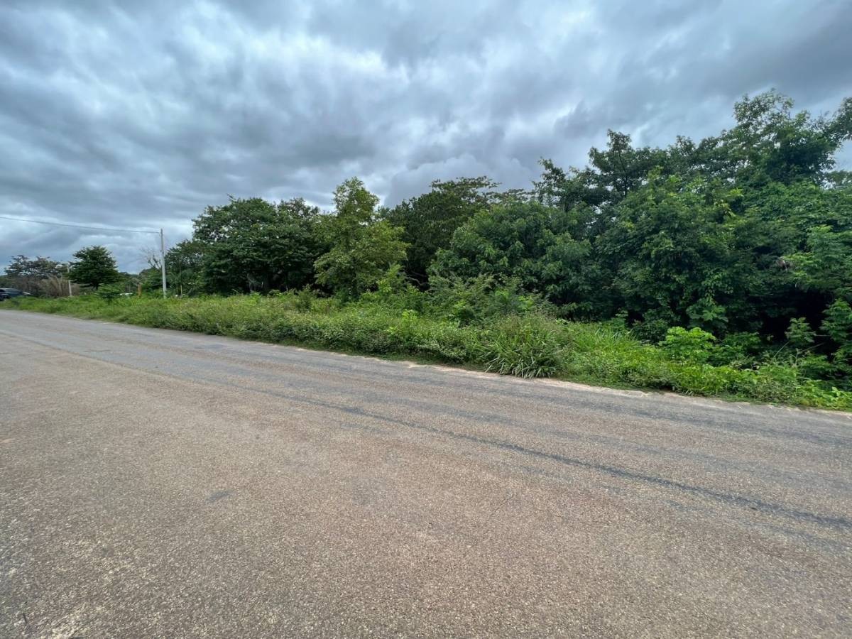 Terreno en VentaSobre Carretera Pavimentada al Cuchi
    Foto 1