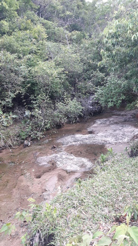 Quinta propiedad agrícola en Doble vía La Guardia en Santa Cruz de la Sierra    Foto 21