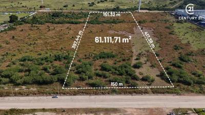 8c4271b42665d060473fffdf2cc8282dfb53a2