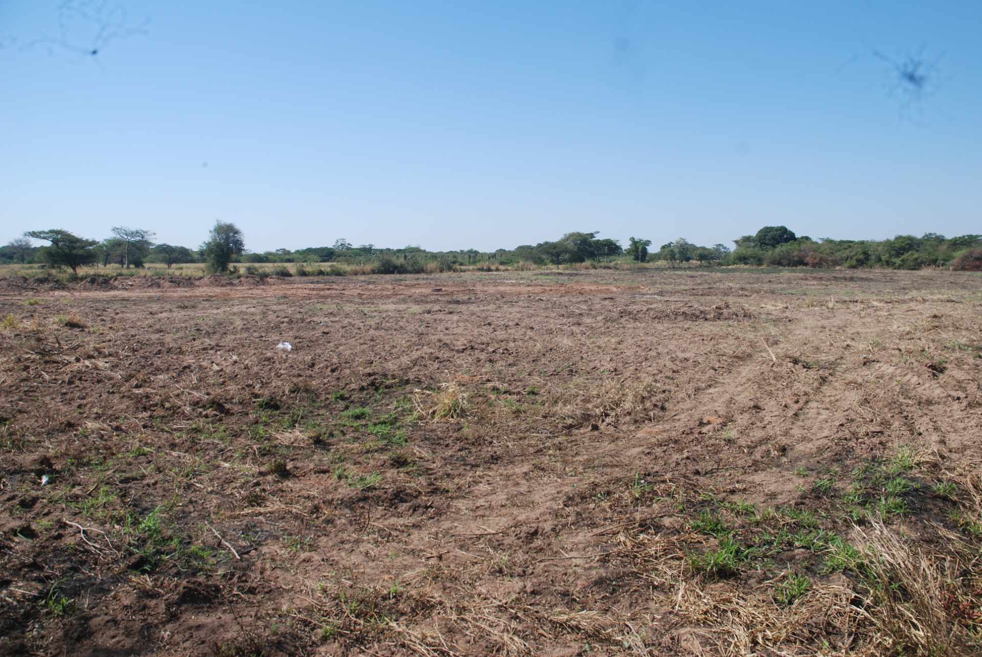 Terreno en VentaCotoca 2do anillo carretera a Pailon, cerca Cofrico Foto 11