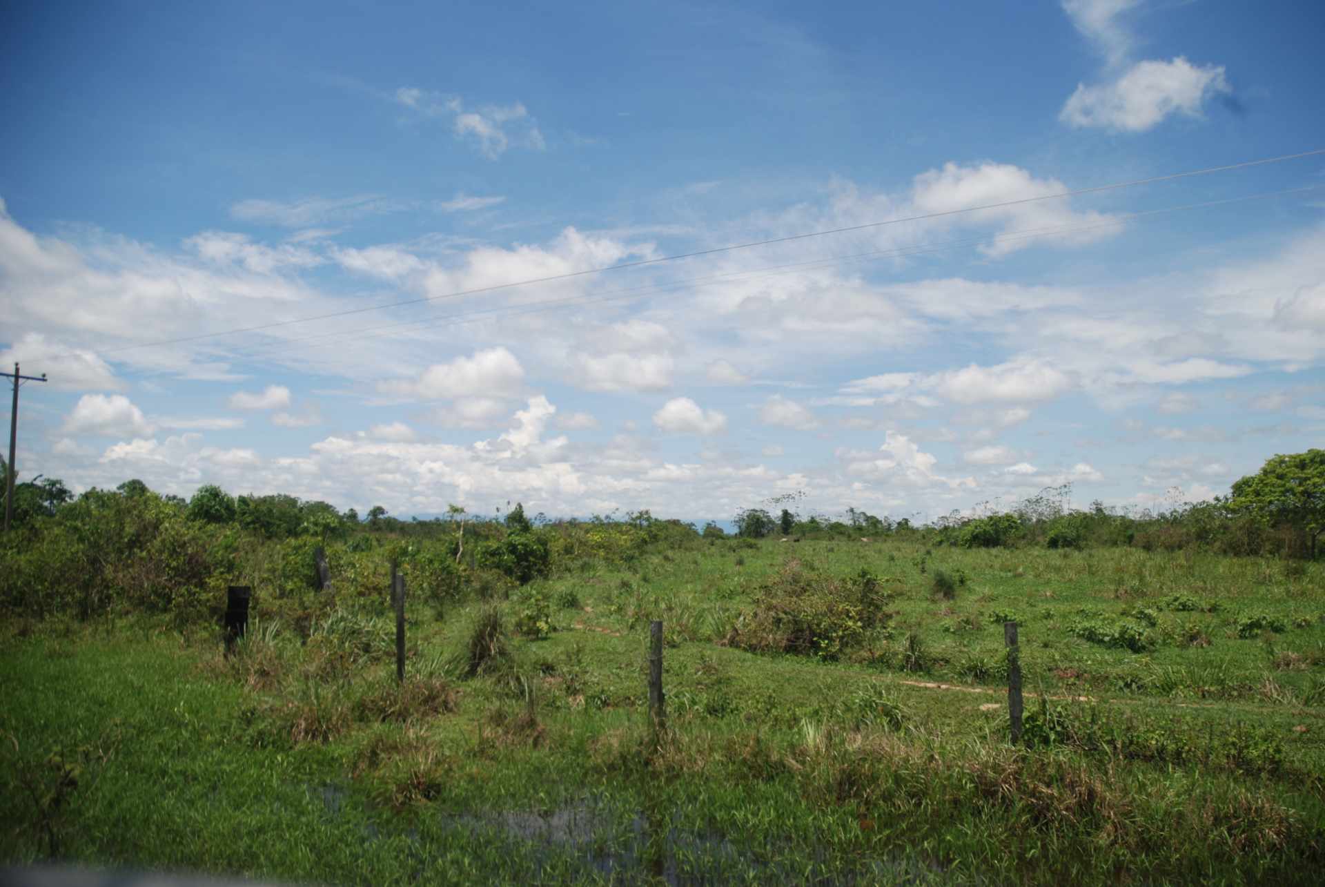 Quinta propiedad agrícola en VentaCerca de Puerto Gretel,  zona Yapacani, camino a estacion Vibora.    Foto 10