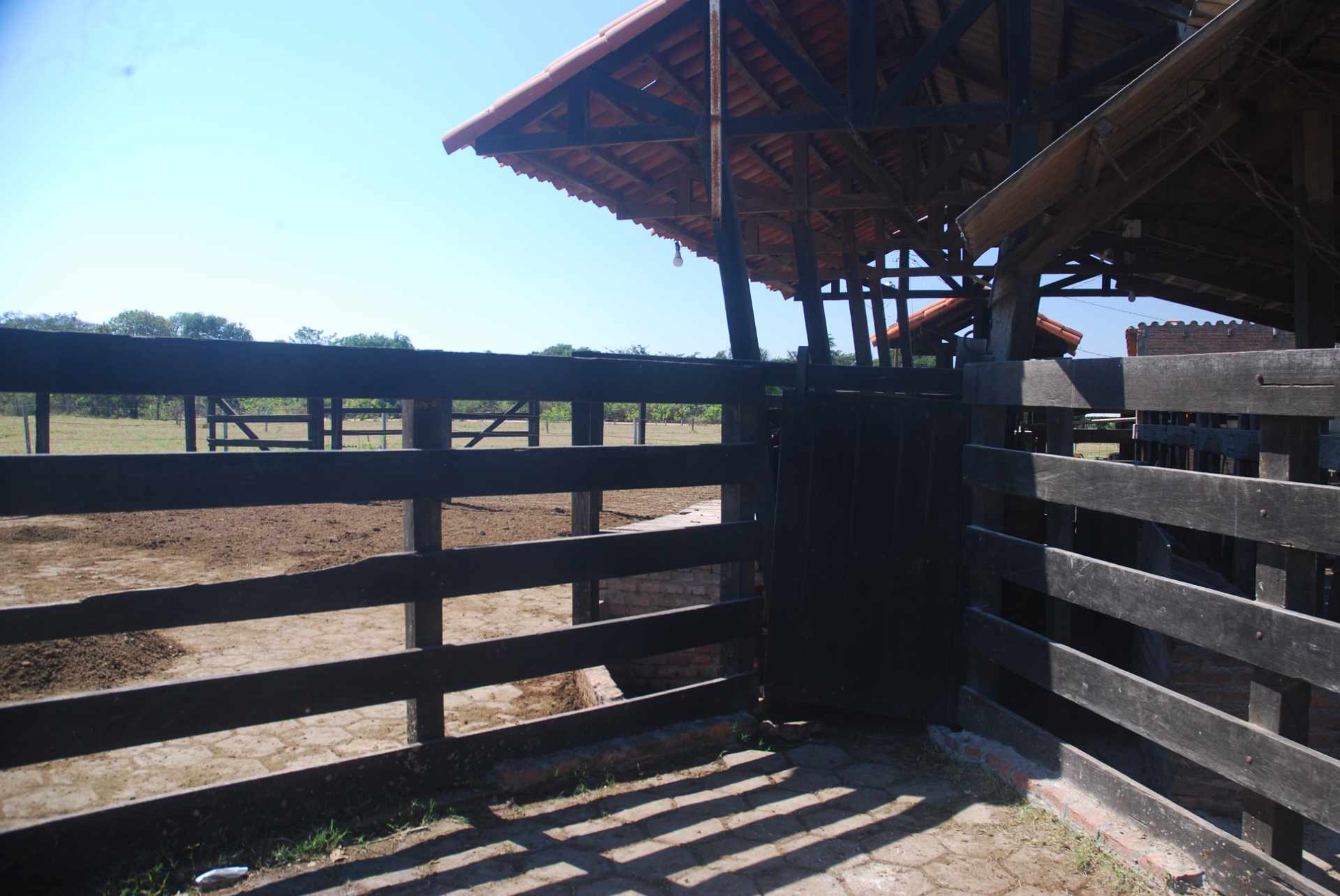 Quinta propiedad agrícola en Venta A 20mn de Warnes  vendo una Hermosa  Lecheria productiva  de 56ha  Foto 36