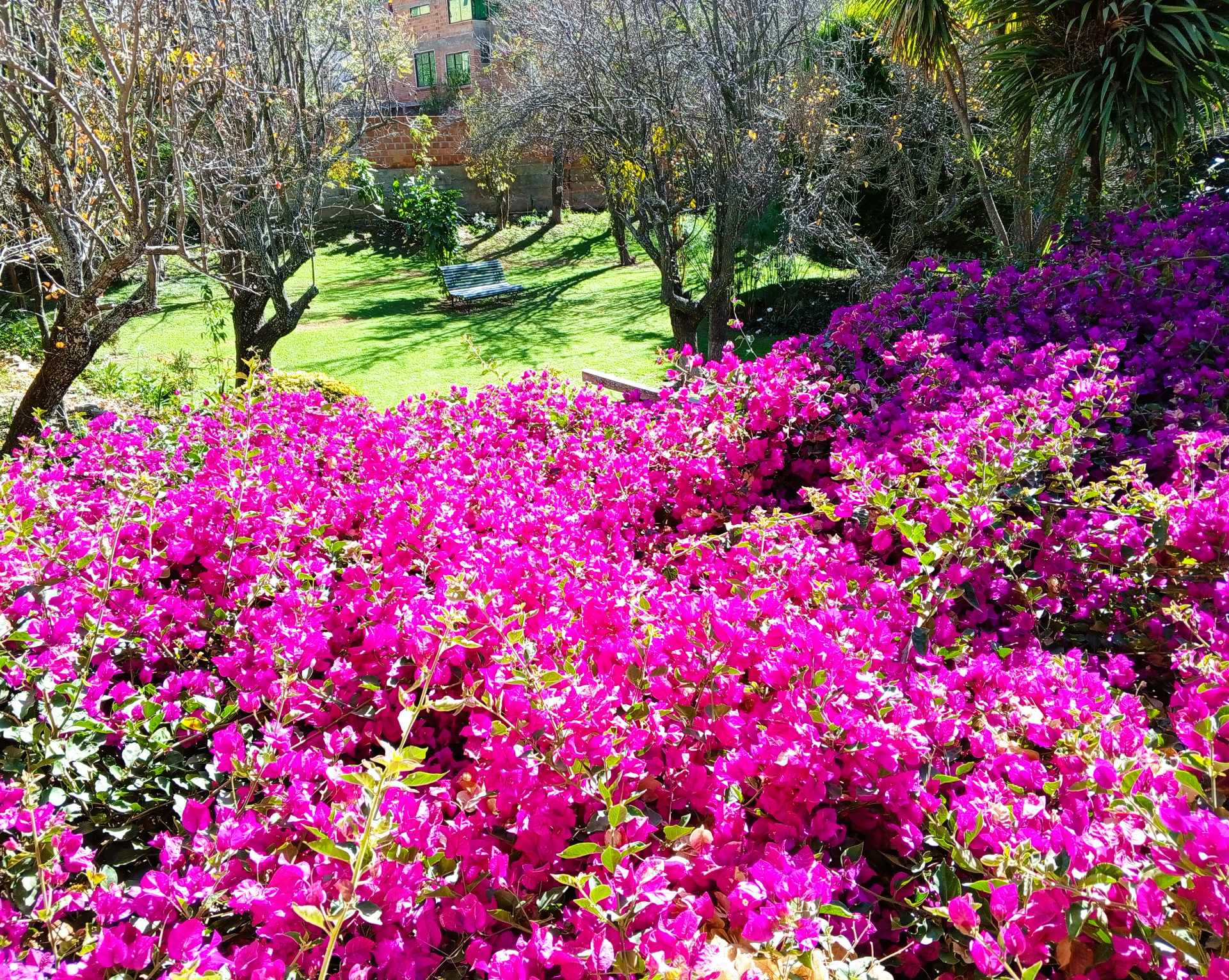 Terreno en Río Abajo en La Paz    Foto 6