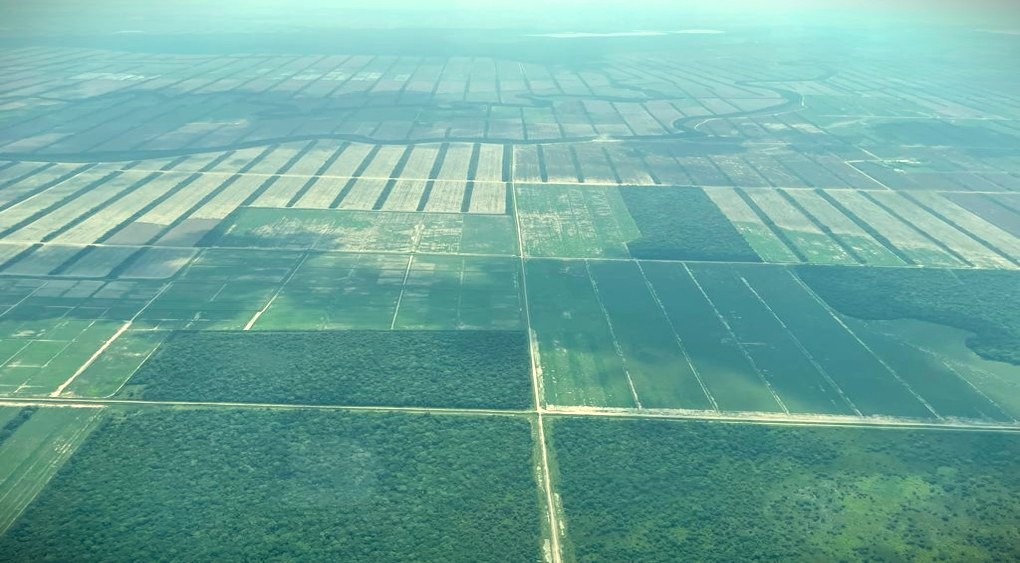 Quinta propiedad agrícola En Venta Propiedad Agrícola con Potencial Ganadero en Marban - Beni Foto 1