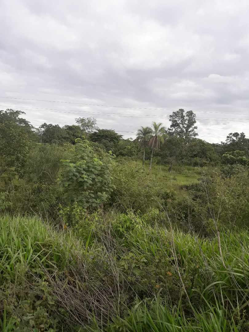 Terreno en VentaConcepción (280 km de Santa Cruz), lotes 13, 14, 15 y 16.           Foto 3