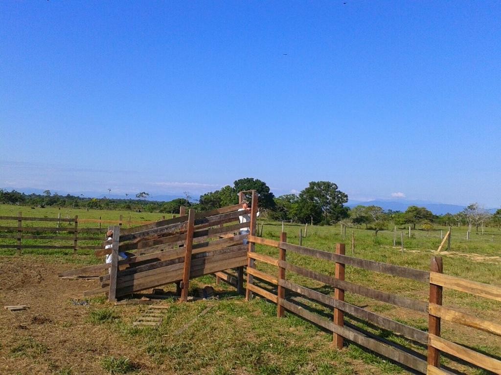 Quinta propiedad agrícola en VentaCerca de Puerto Gretel,  zona Yapacani, camino a estacion Vibora.    Foto 4