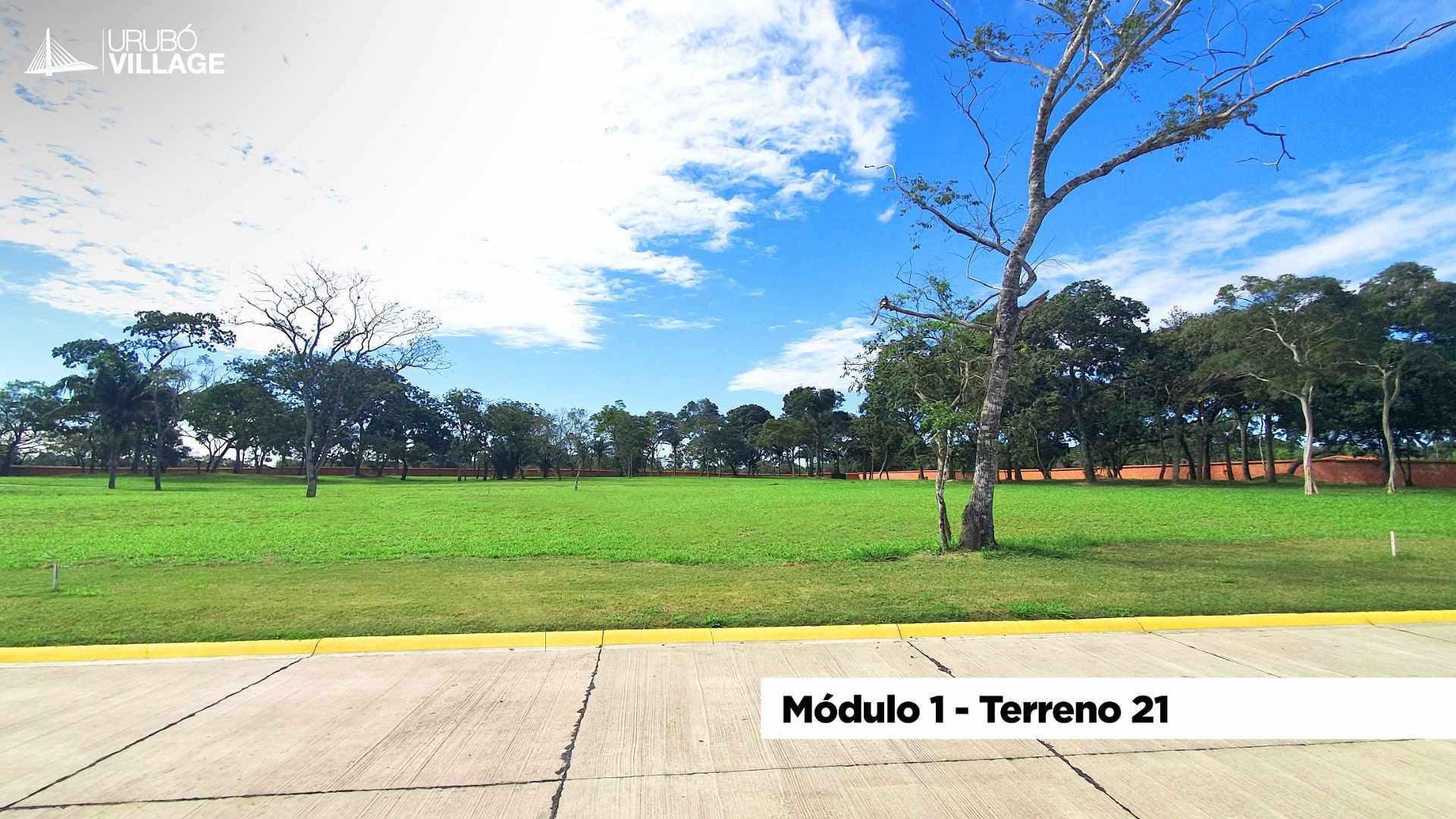 Terreno en VentaUrubo Santa Cruz Foto 6