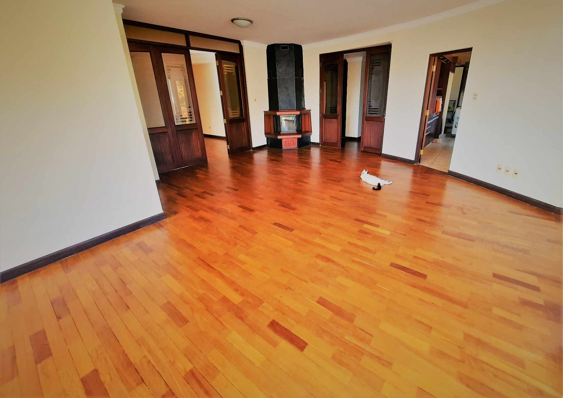 Departamento en Calacoto en La Paz 4 dormitorios 5 baños 2 parqueos Foto 19