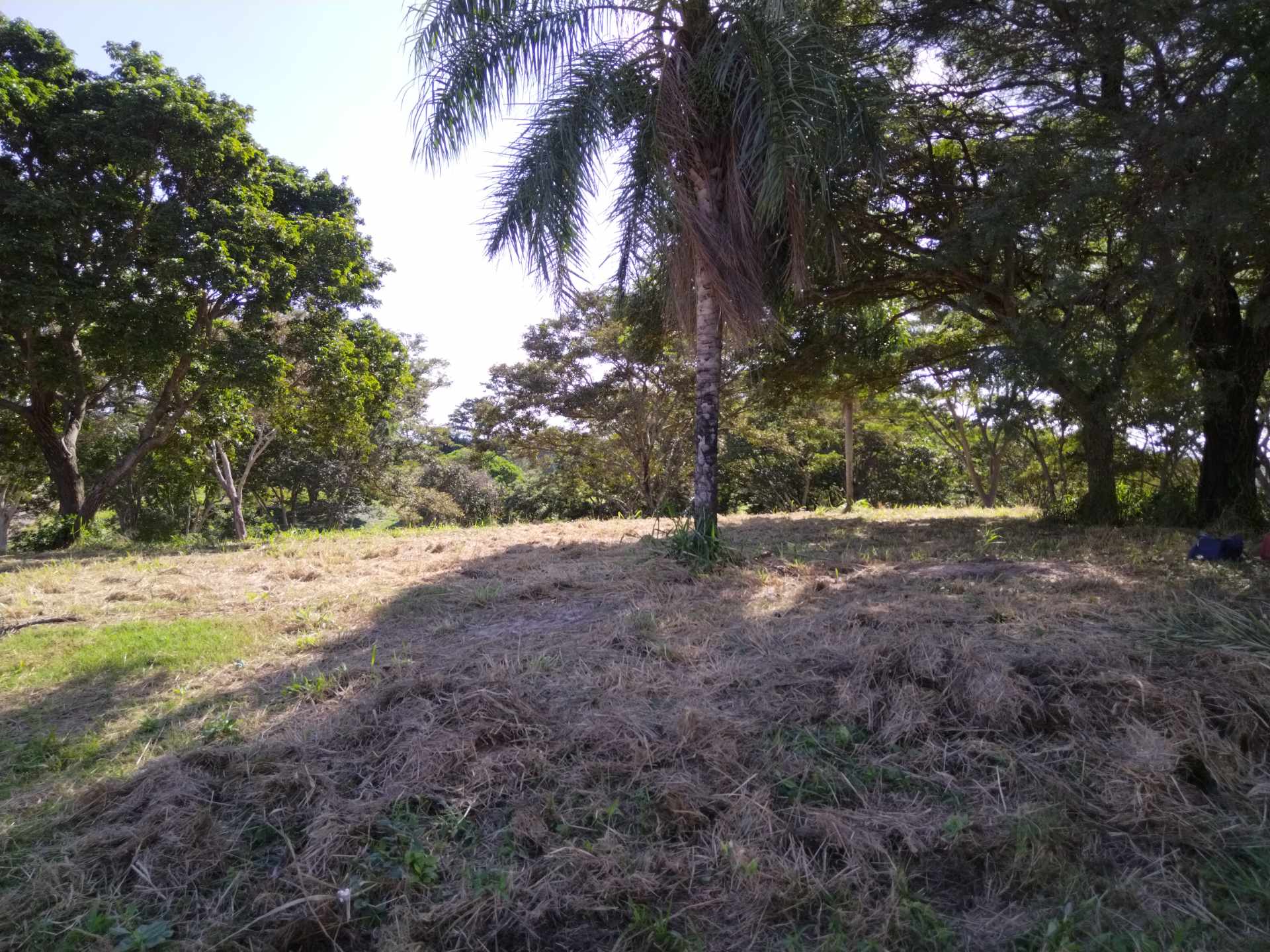 Terreno en VentaCOLINAS DEL URUBO LAS PALMERAS/SECTOR LOMERÍO    Foto 10