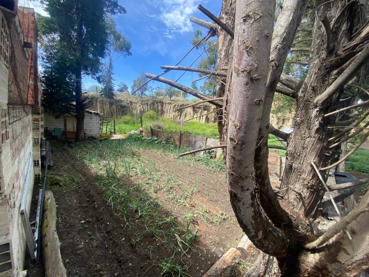 Terreno en Mallasilla en La Paz    Foto 8