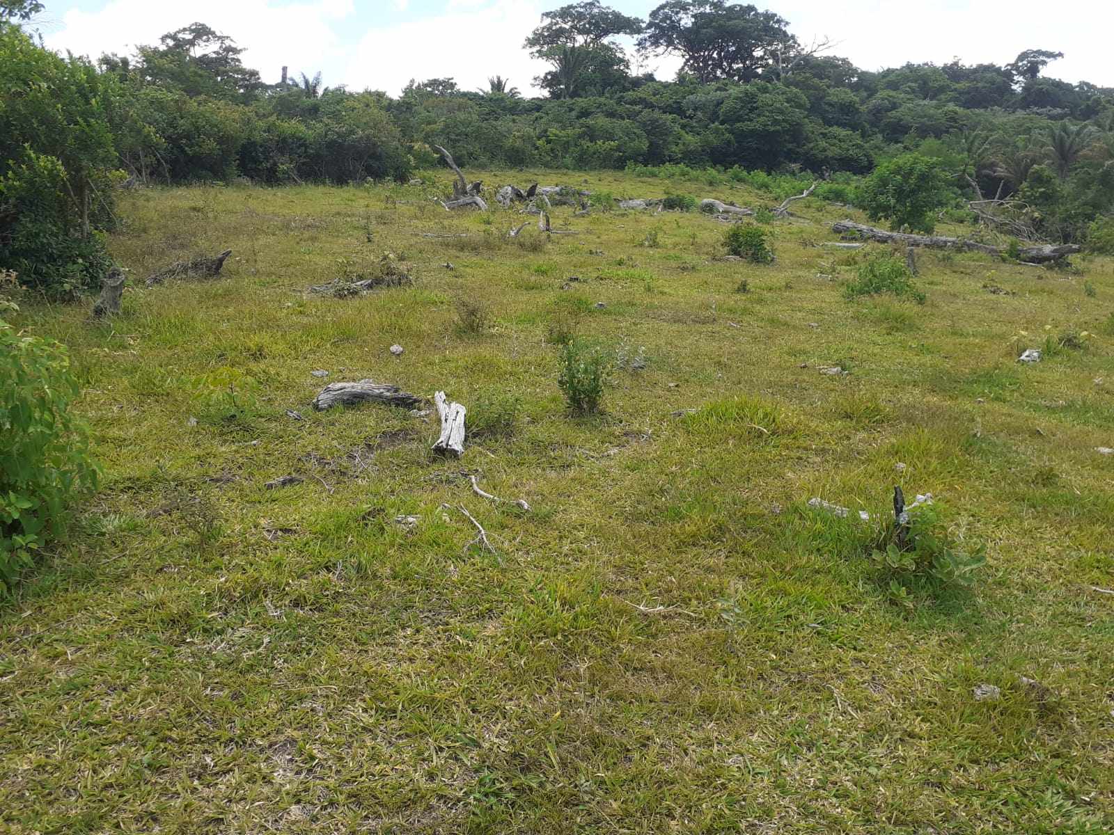 Quinta propiedad agrícola en Doble vía La Guardia en Santa Cruz de la Sierra    Foto 27