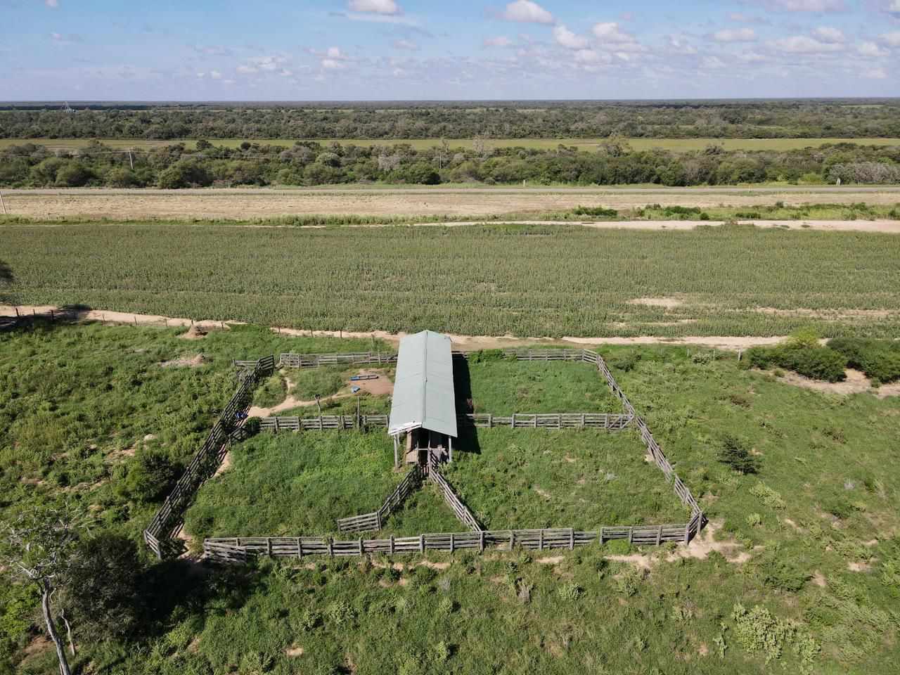 Quinta propiedad agrícola en VentaEn Venta: 2.250 Hectáreas Agricola - Ganaderas en Tuna sobre Carretera    Foto 16