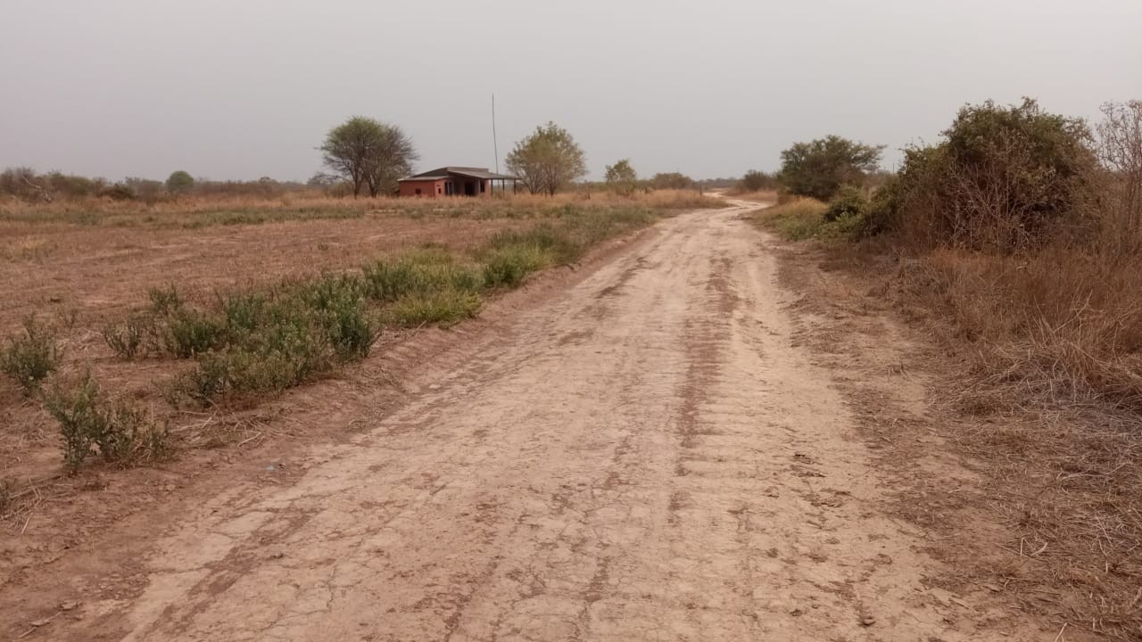 Quinta propiedad agrícola en VentaLinda propiedad  agricola  de 604ha por Pailon Sur, 70km entrando    Foto 12