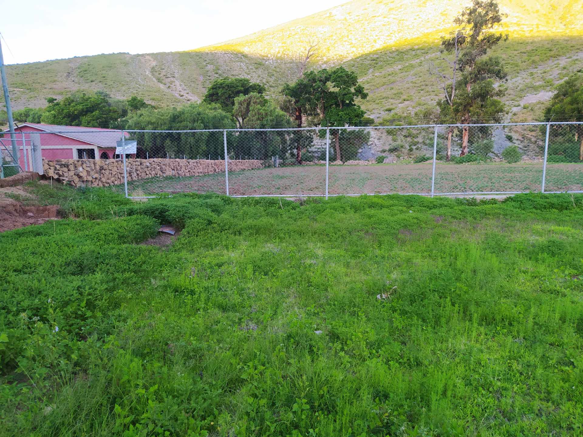 Terreno en VentaCalle Montes s/n, Torotoro, Potosi    Foto 5